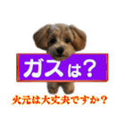 忘れっぽい人の為のスタンプ その2（個別スタンプ：11）
