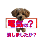 忘れっぽい人の為のスタンプ その2（個別スタンプ：13）