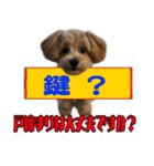 忘れっぽい人の為のスタンプ その2（個別スタンプ：15）
