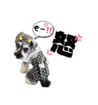 シュナウザー(ジルバ)（個別スタンプ：3）