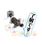 シュナウザー(ジルバ)（個別スタンプ：13）