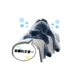 シュナウザー(ジルバ)（個別スタンプ：15）