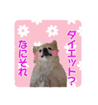まめくんといっしょ 2（個別スタンプ：1）