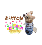 まめくんといっしょ 2（個別スタンプ：2）