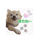 まめくんといっしょ 2（個別スタンプ：3）