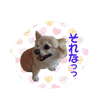 まめくんといっしょ 2（個別スタンプ：4）