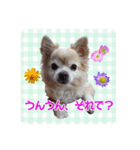 まめくんといっしょ 2（個別スタンプ：5）