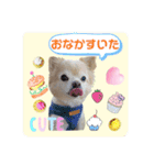 まめくんといっしょ 2（個別スタンプ：6）
