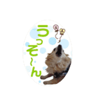 まめくんといっしょ 2（個別スタンプ：7）