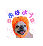 まめくんといっしょ 2（個別スタンプ：8）