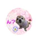 まめくんといっしょ 2（個別スタンプ：9）