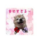 まめくんといっしょ 2（個別スタンプ：11）