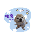 まめくんといっしょ 2（個別スタンプ：12）