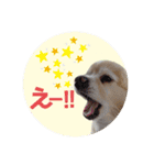 まめくんといっしょ 2（個別スタンプ：13）