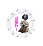 まめくんといっしょ 2（個別スタンプ：16）