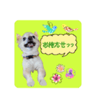 まめくんといっしょ 2（個別スタンプ：18）
