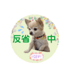 まめくんといっしょ 2（個別スタンプ：19）