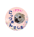 まめくんといっしょ 2（個別スタンプ：20）