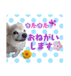 まめくんといっしょ 2（個別スタンプ：21）