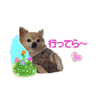 まめくんといっしょ 2（個別スタンプ：22）