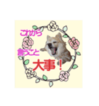まめくんといっしょ 2（個別スタンプ：23）
