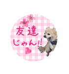 まめくんといっしょ 2（個別スタンプ：24）