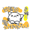 とにかくよく敬語を使うねこ☆夏（個別スタンプ：39）