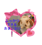 うさりおスタンプ4（個別スタンプ：8）