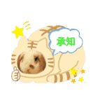うさりおスタンプ4（個別スタンプ：17）