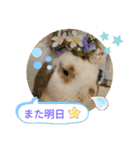 うさりおスタンプ4（個別スタンプ：19）
