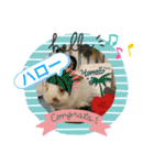うさりおスタンプ4（個別スタンプ：20）