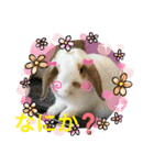うさりおスタンプ4（個別スタンプ：23）