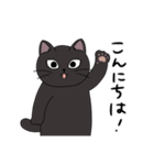 黒猫のりんちゃん（個別スタンプ：1）