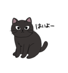 黒猫のりんちゃん（個別スタンプ：12）