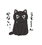 黒猫のりんちゃん（個別スタンプ：15）