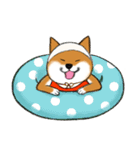 あざとかわいい柴犬こたろうの夏2020（個別スタンプ：3）