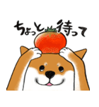 あざとかわいい柴犬こたろうの夏2020（個別スタンプ：32）