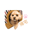 ココゆず part2（個別スタンプ：3）
