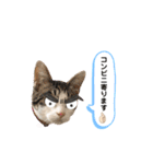 ココゆず part2（個別スタンプ：4）