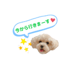 ココゆず part2（個別スタンプ：19）