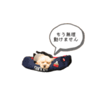 ココゆず part2（個別スタンプ：20）