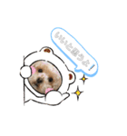 ココゆず part2（個別スタンプ：29）