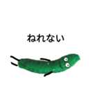 ベジタブル野菜 再収穫（個別スタンプ：15）