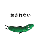 ベジタブル野菜 再収穫（個別スタンプ：16）