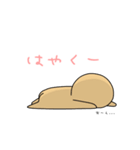 クッキーくん(ジンジャーブレッドマン)2（個別スタンプ：37）