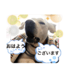Chérie 4（個別スタンプ：7）