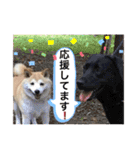 Chérie 4（個別スタンプ：17）