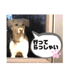 Chérie 4（個別スタンプ：22）