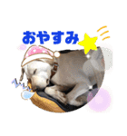 Chérie 4（個別スタンプ：26）