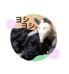 Chérie 4（個別スタンプ：29）